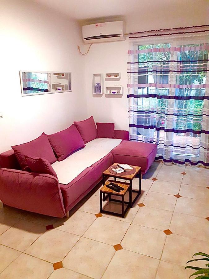 Dream Apartment הרצג-נובי מראה חיצוני תמונה