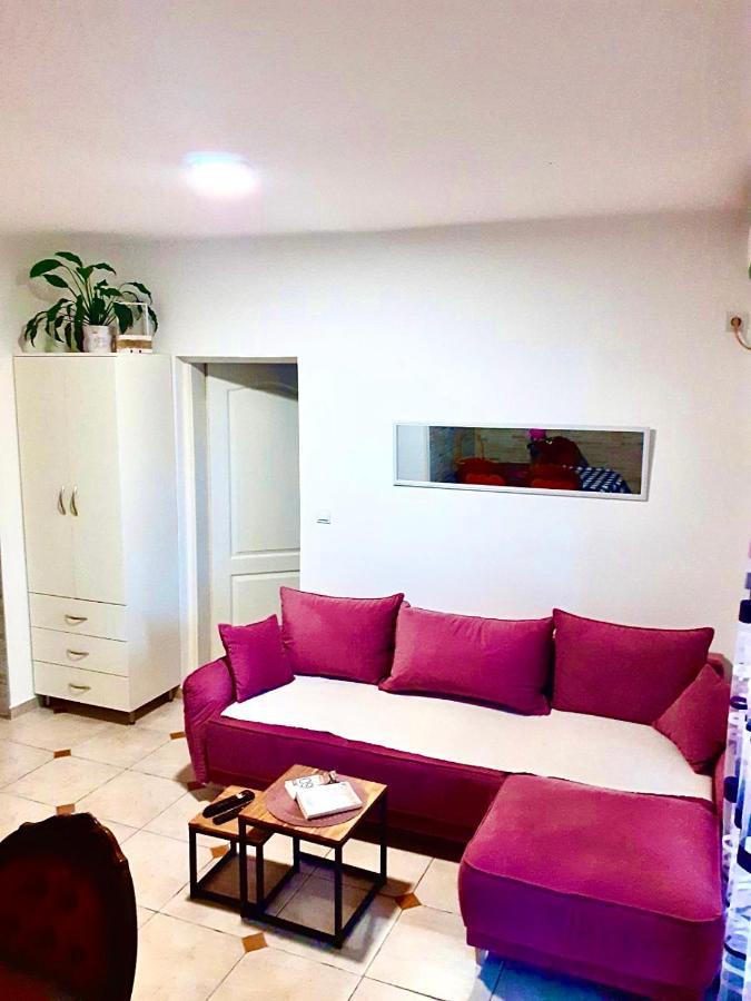 Dream Apartment הרצג-נובי מראה חיצוני תמונה