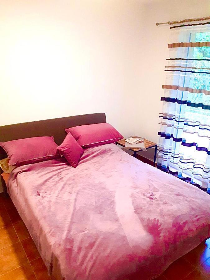Dream Apartment הרצג-נובי מראה חיצוני תמונה
