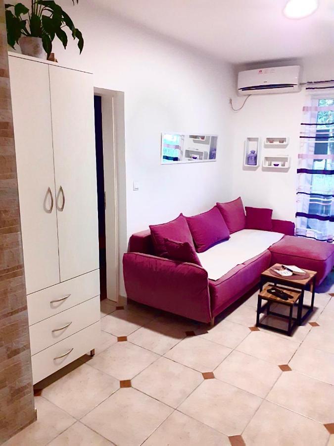 Dream Apartment הרצג-נובי מראה חיצוני תמונה